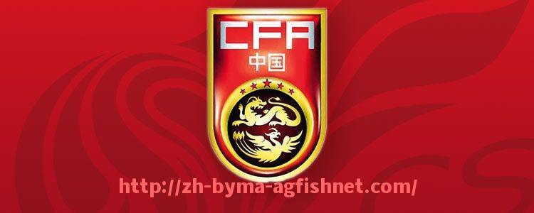 AG捕鱼王官网-莱昂纳多谈德甲球队：足球明星对德甲联赛的看法与分析