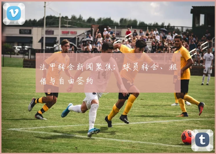 法甲转会新闻聚焦：球员转会、租借与自由签约