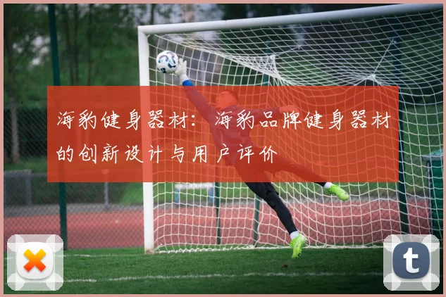 海豹健身器材：海豹品牌健身器材的创新设计与用户评价