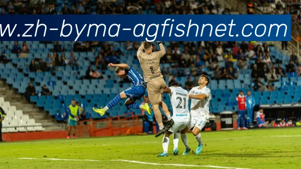 AG捕鱼王官网平台生态图