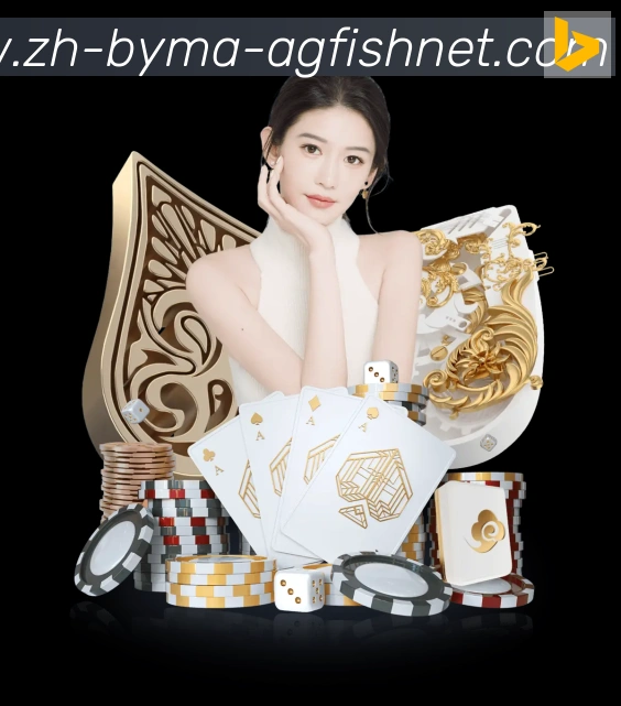 未来规划