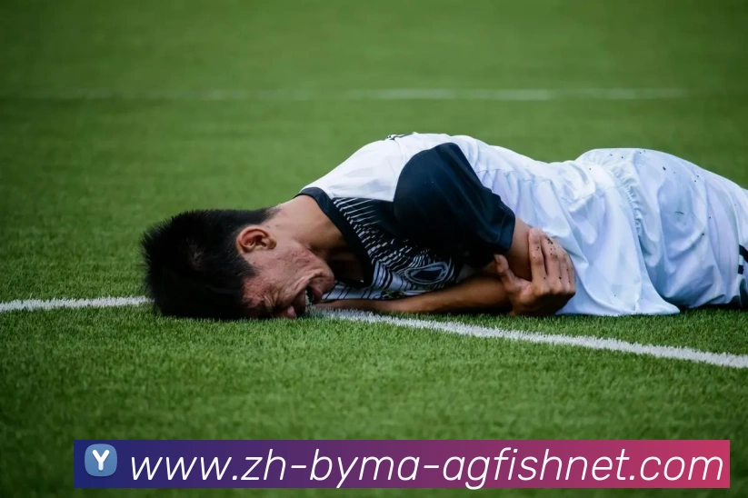 AG捕鱼王官网APP 封面图